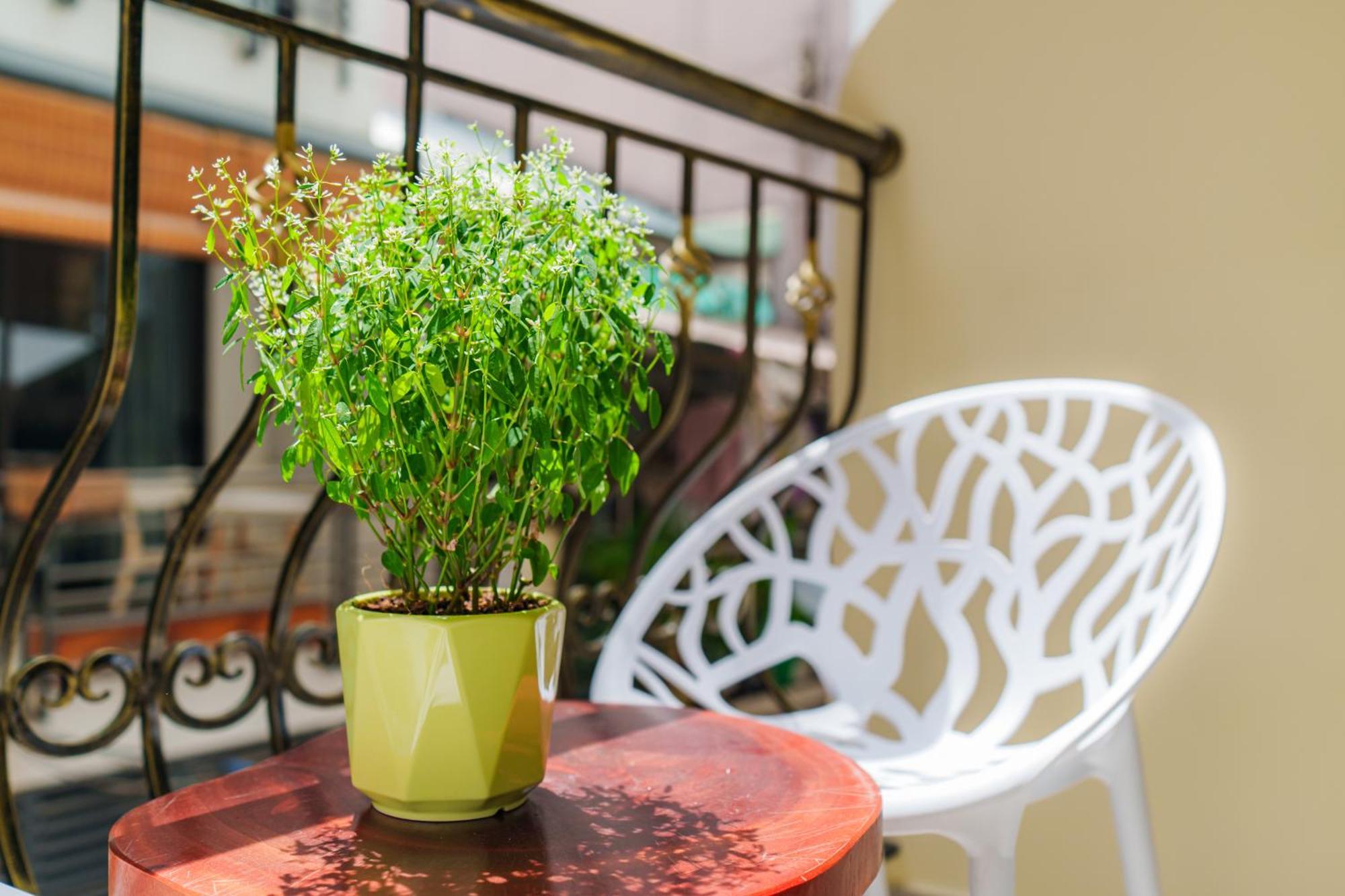 Co Chau Homestay Ho Chi Minh-byen Eksteriør bilde